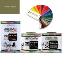 2K Lack RAL 6013 Schilfgrün / RAL Acryl Express...