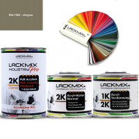 2K Lack RAL 7002 Olivgrau / RAL Acryl Express...